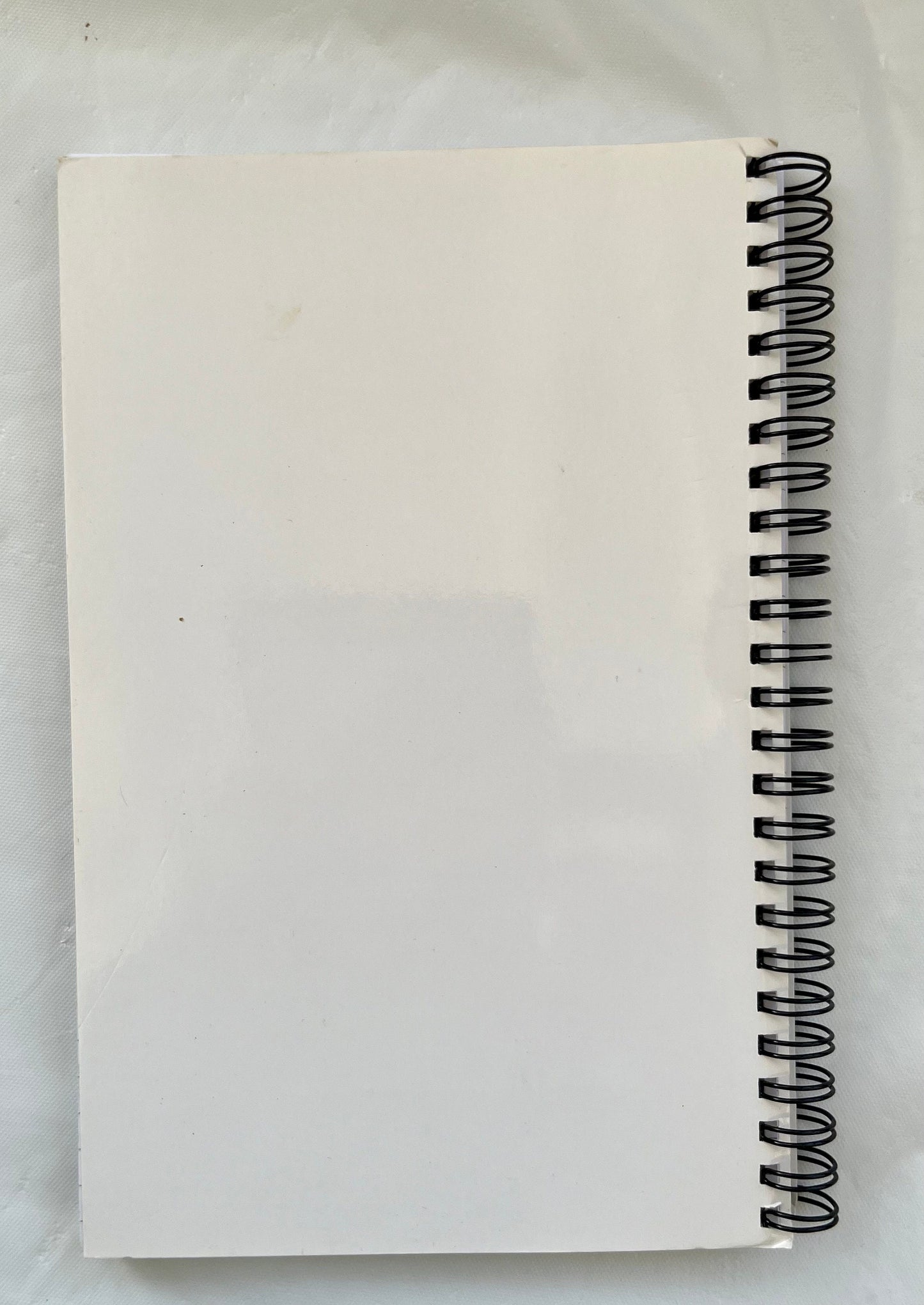 Energised healing notebook, floating on ocean, longtide painting