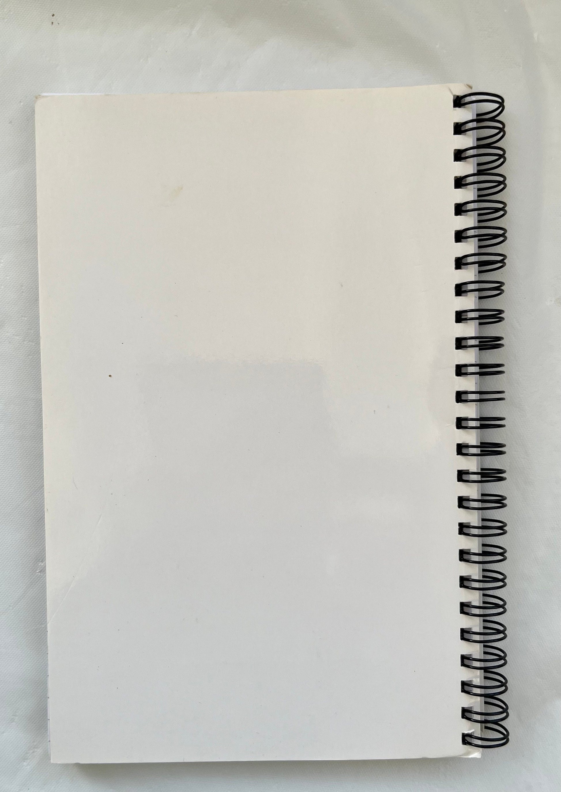 Energised healing notebook, floating on ocean, longtide painting