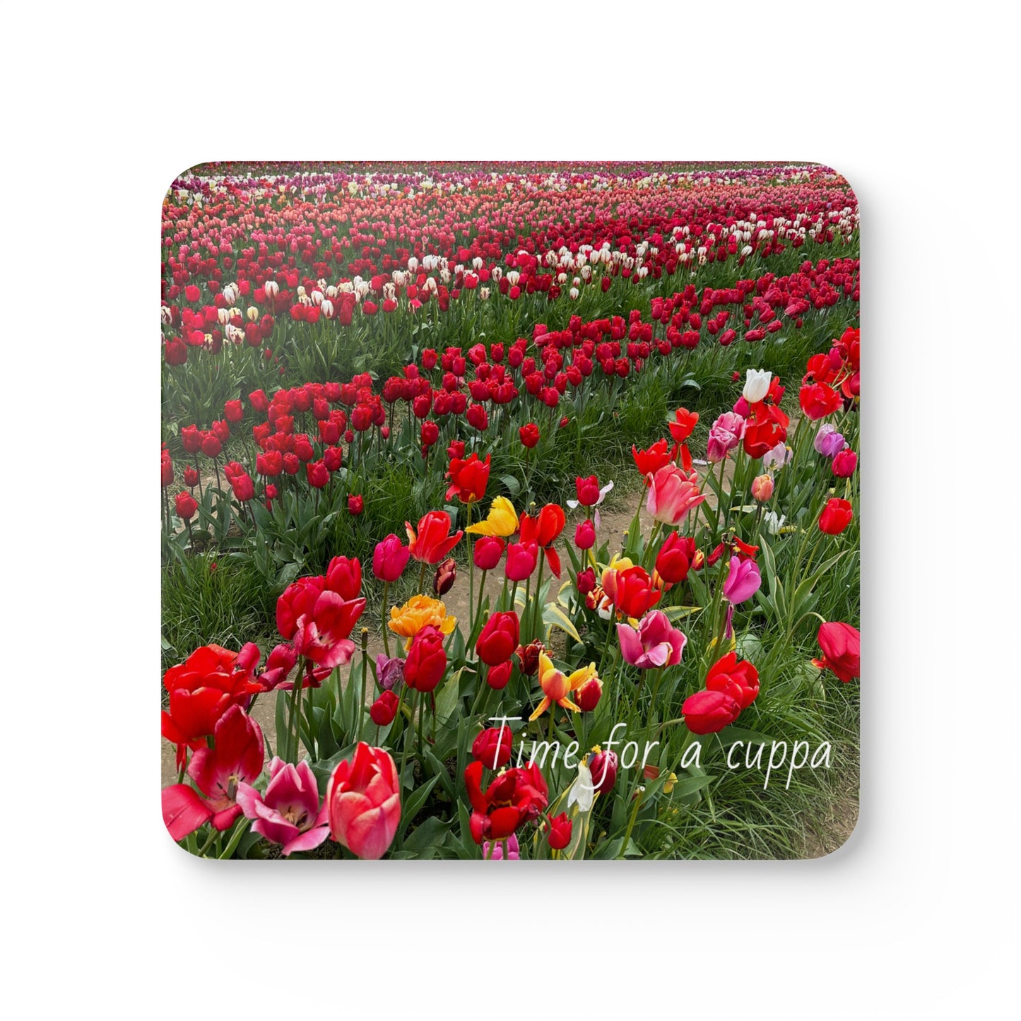 Time for a cuppa Corkwood Tulip Coaster Set, Uk, Us, Aus, flower, colourful, red, hot drink, unisex, home