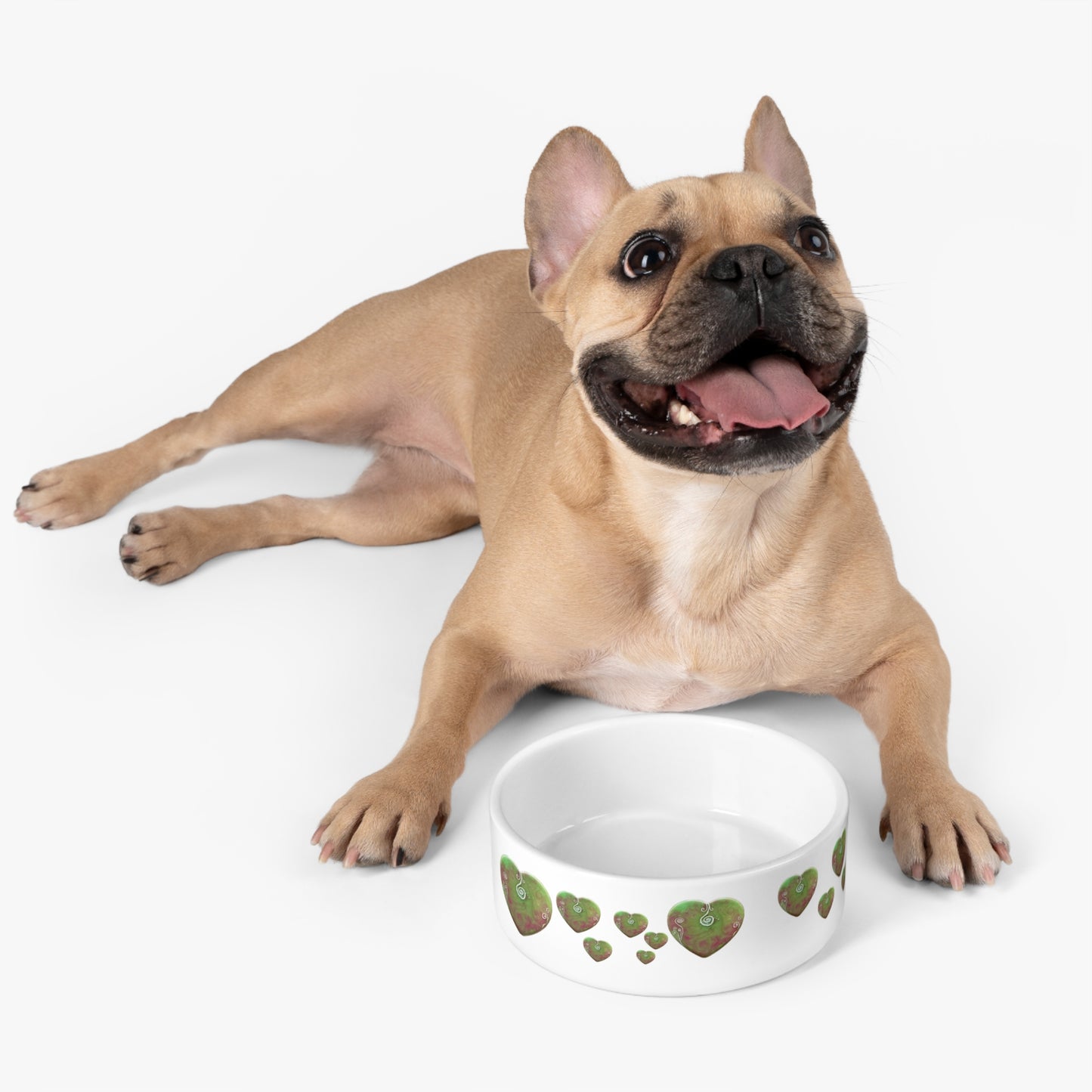 Large Pet Bowl activated light codes to detoxify and help digestion and cleansing including ascension upgrades, cat, dog, water bowl, food bowl