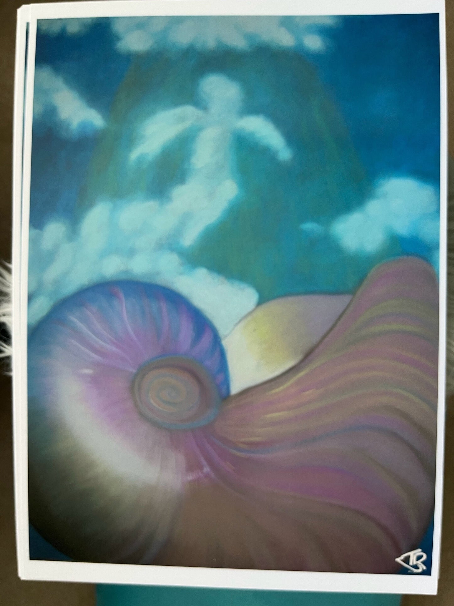 A4 or A3 Art Print, framed or unframed- Healing Art : Creation (nautilus shell on sky with angel shaped cloud)