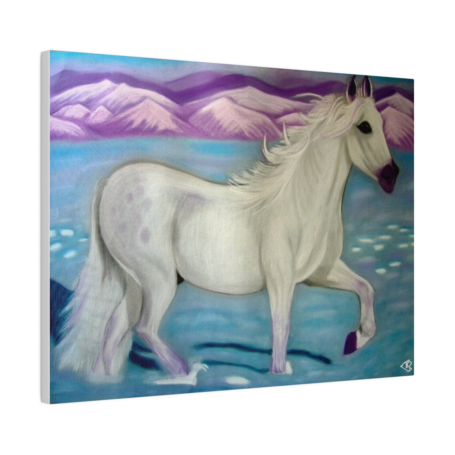 Alchemical art Serenty Canvas Print, Stretched, white horse in snow for harmonsising sensitive souls with environment, Ship from:Aus, US, UK