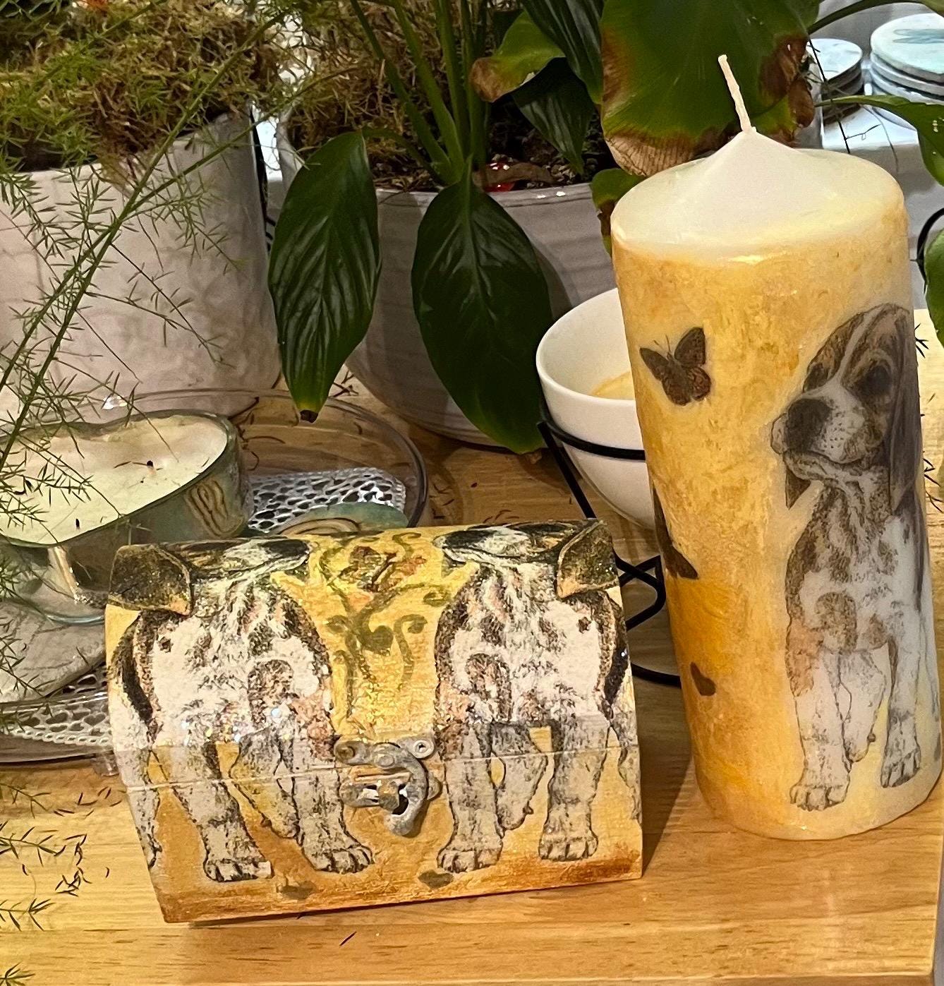 Energised ( high vibe) Fox Hound/ hound dog/ puppy tarot/ oracle card box or keepsake box, matching items available