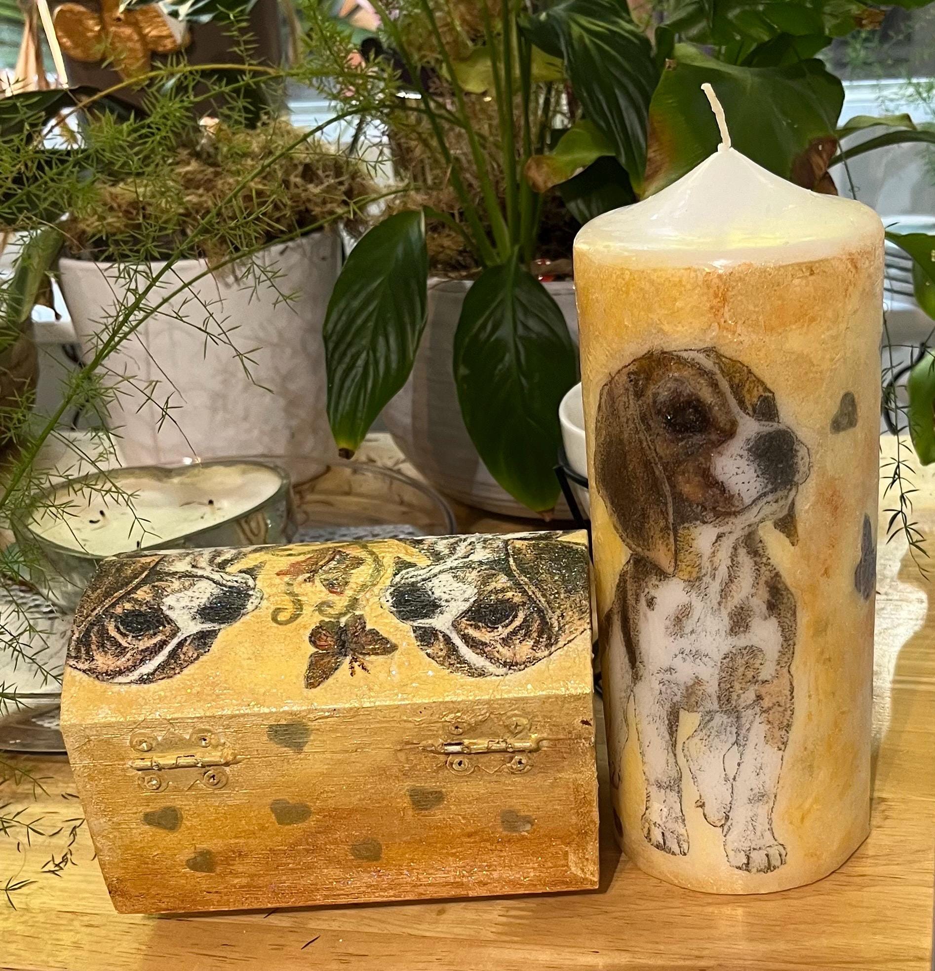 Energised ( high vibe) Fox Hound/ hound dog/ puppy tarot/ oracle card box or keepsake box, matching items available