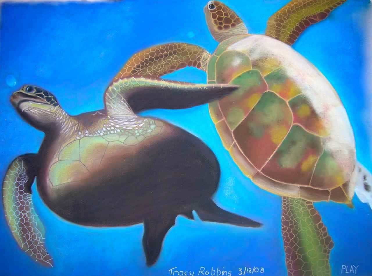 A4 Art Print- Play (Turtle couple under water)