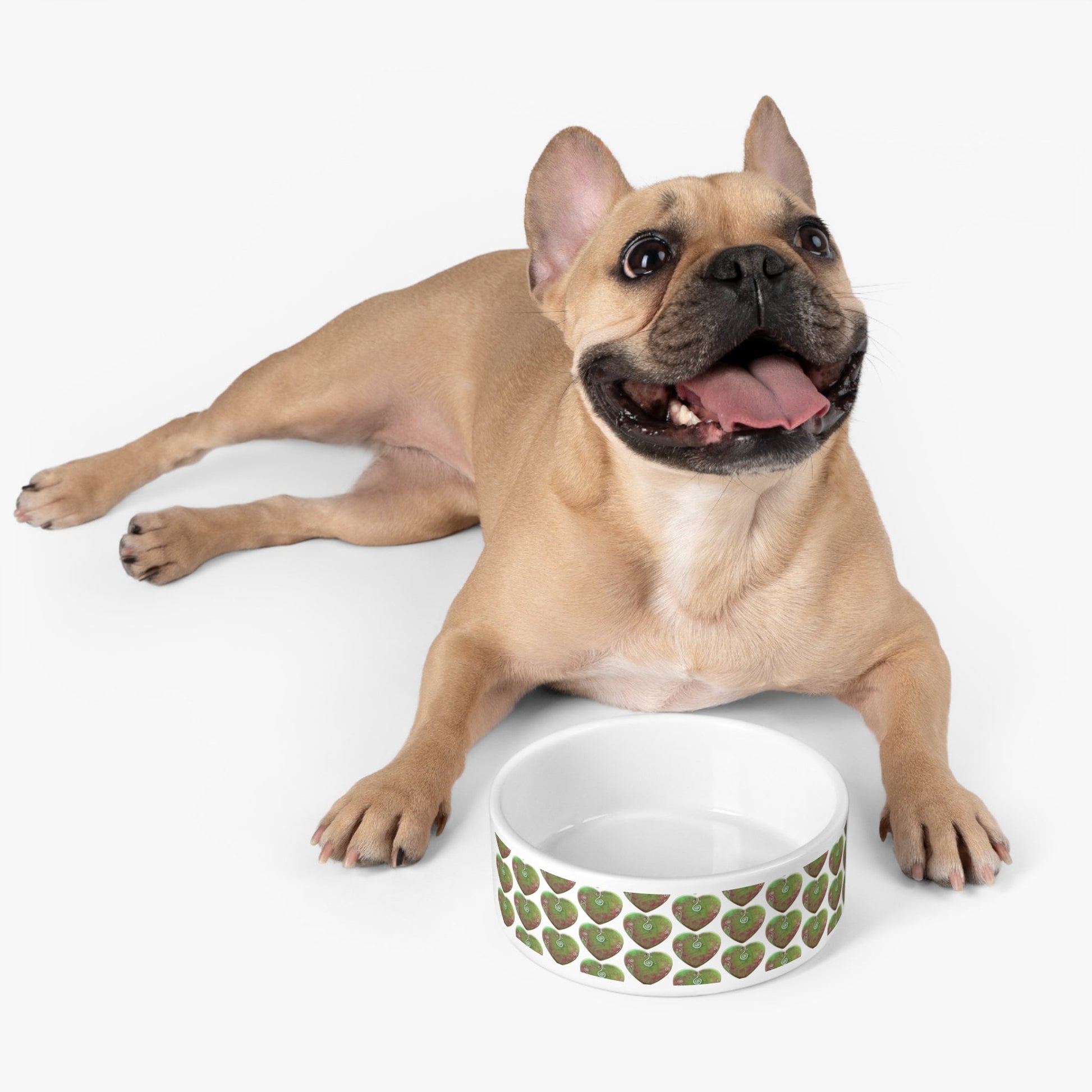 Large Pet bowl energized with light codes to assist with digestion & detox, contains light codes to repair digestive system