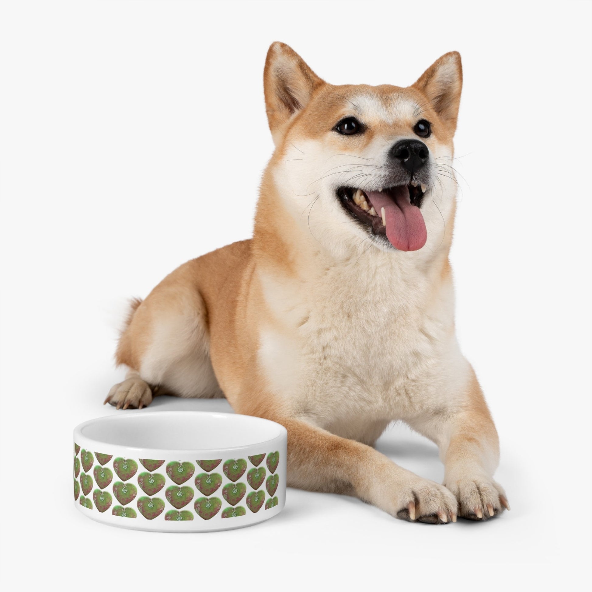 Large Pet bowl energized with light codes to assist with digestion & detox, contains light codes to repair digestive system